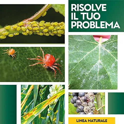 Albagarden Tripla Azione Naturale - Insetticida - Fungicida - Acaricida Per Piante Pronta All'Uso A Base Di Equiseto E Ortica - 