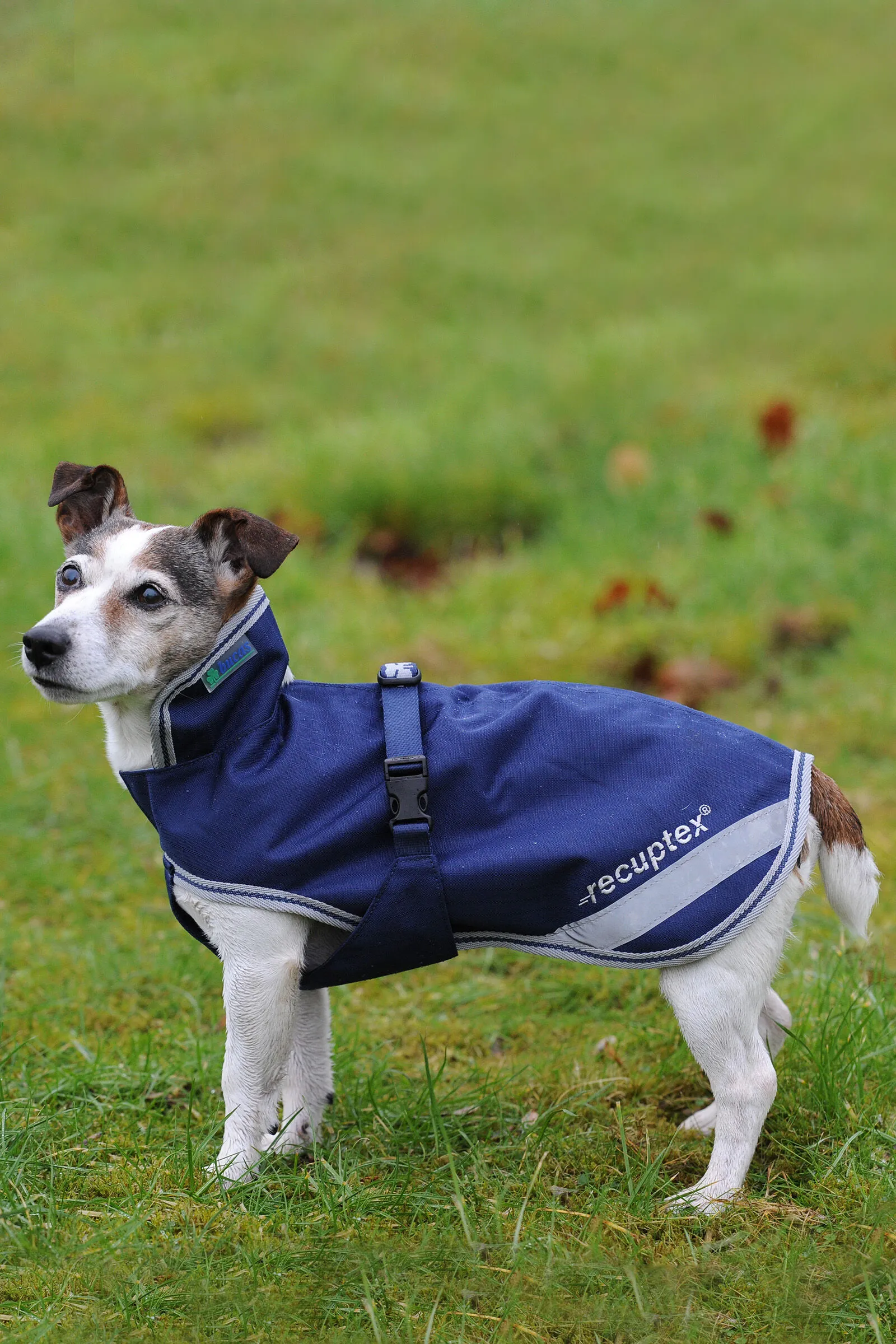Bucas Freedom Coperta per cani 50g 30-45