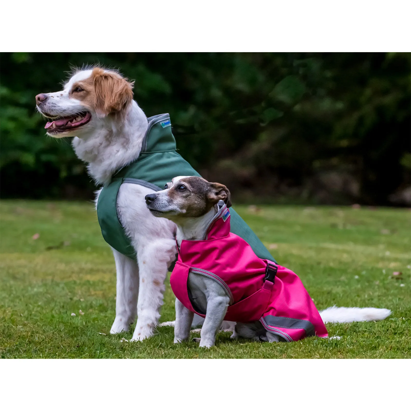 Bucas Freedom Coperta per cani 50g 30-45