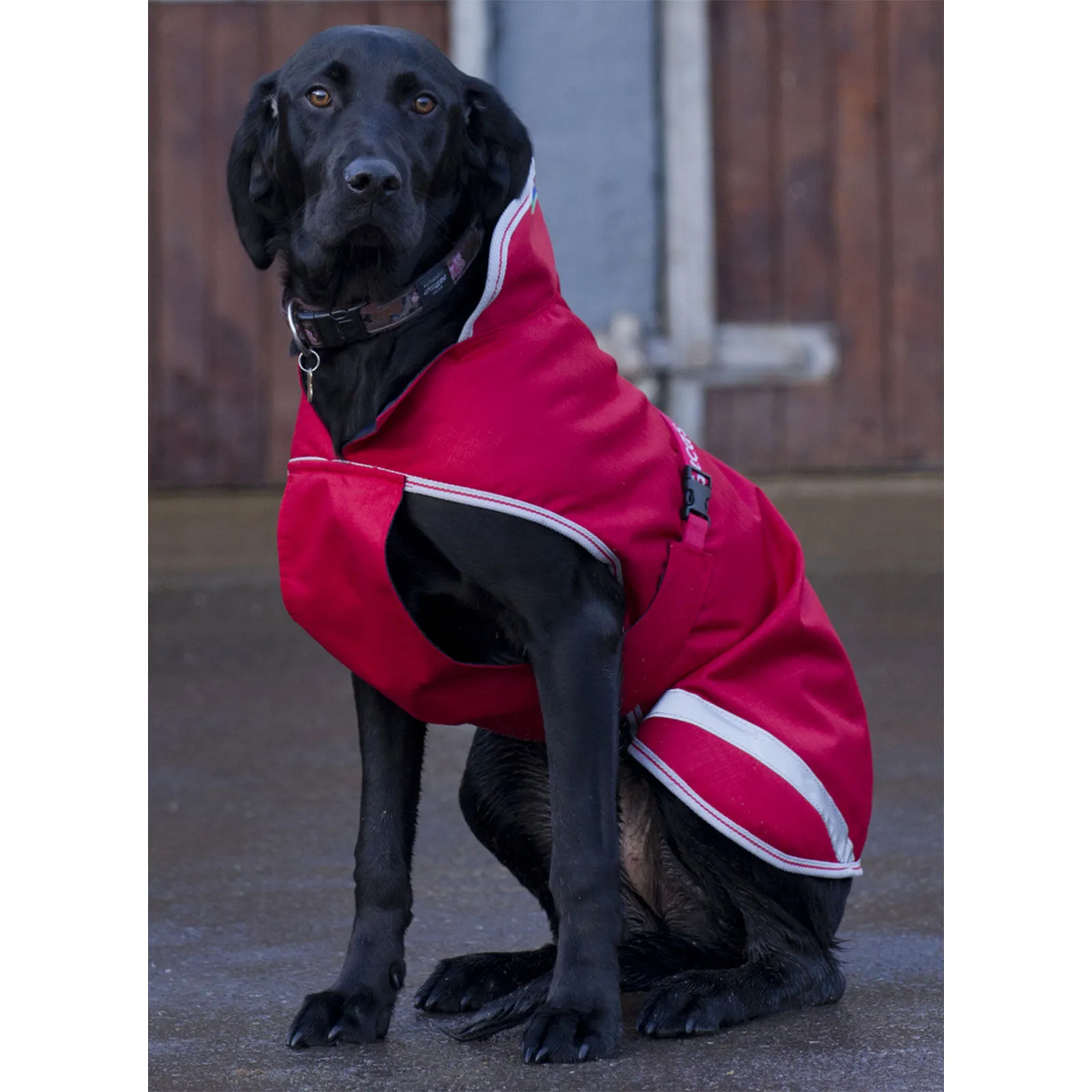 Bucas Freedom Coperta per cani 50g 30-45