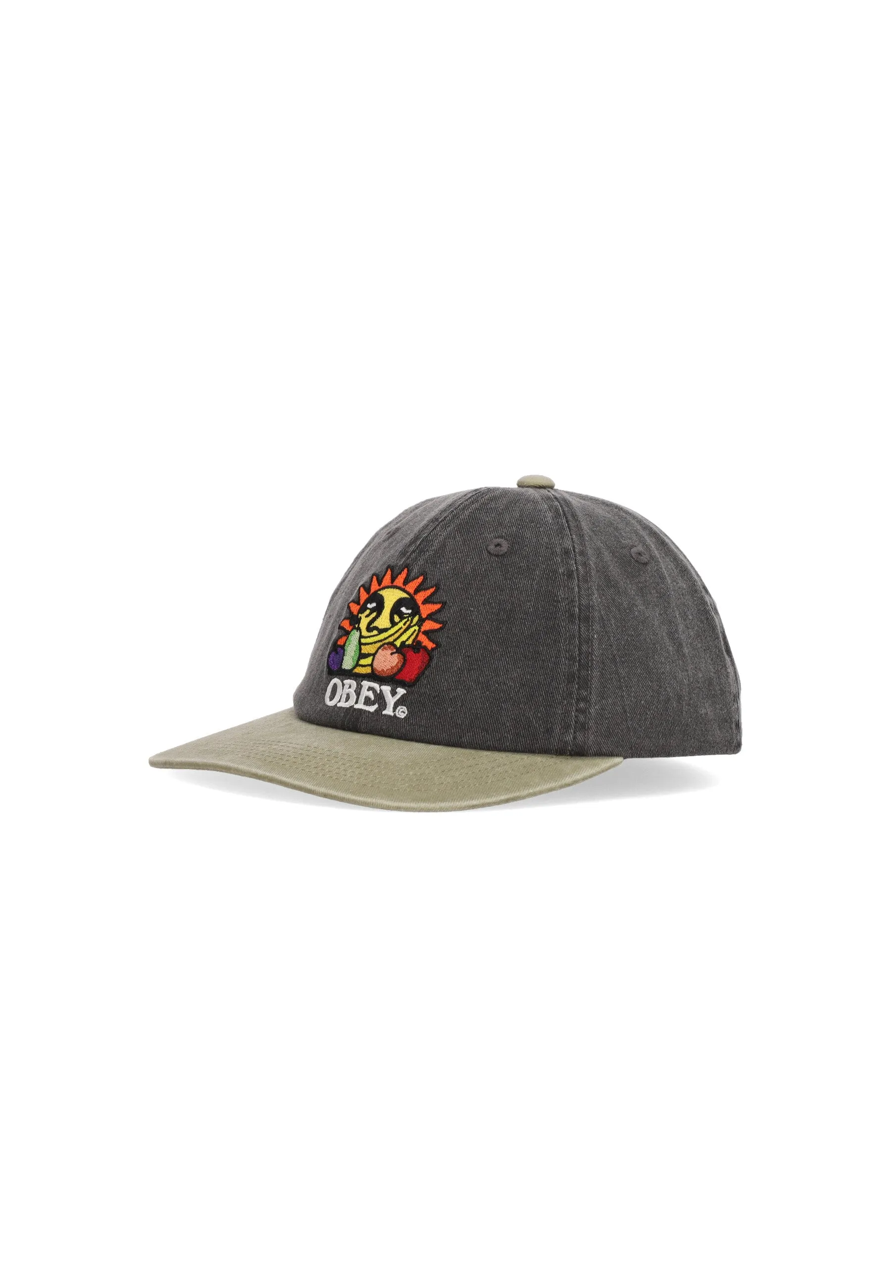 Cappellino Visiera Curva Uomo Pigment Fruits 6panel Snapback Black Multi