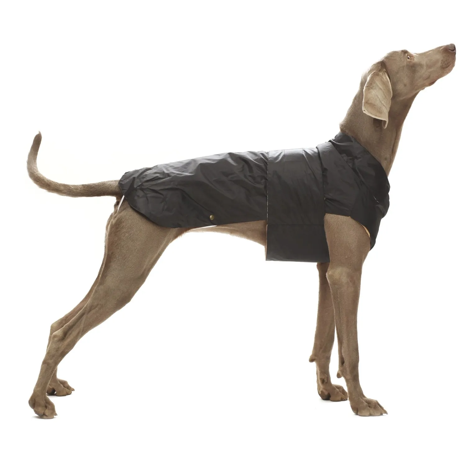 Cappottino impermeabile cani Montreal dorso 25 cm nero