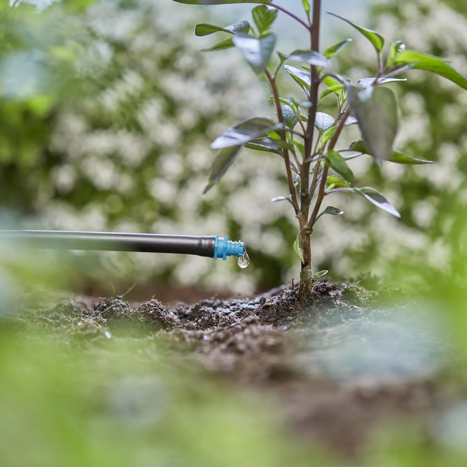 Gocciolatore irrigazione singole piante in vaso Gardena 2 l/h 25 pz