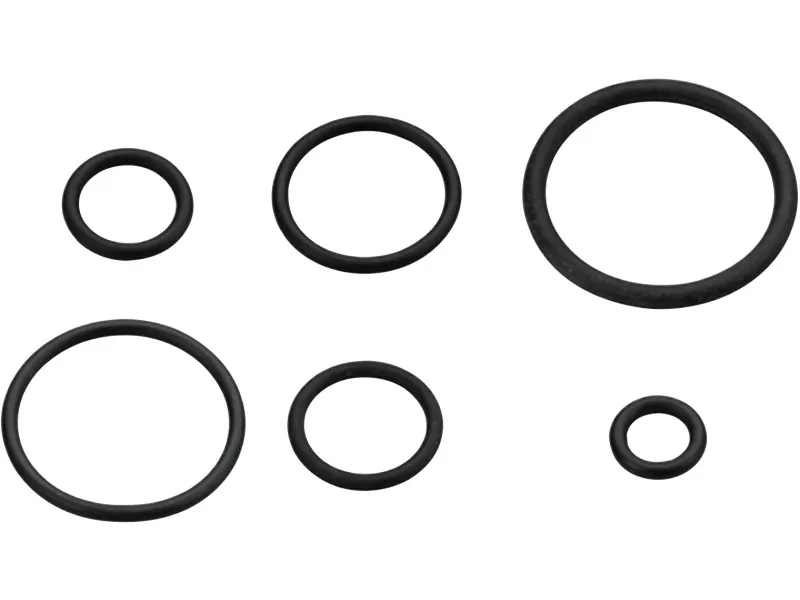 Guarnizioni O-ring in gomma misura R6a 5 pz