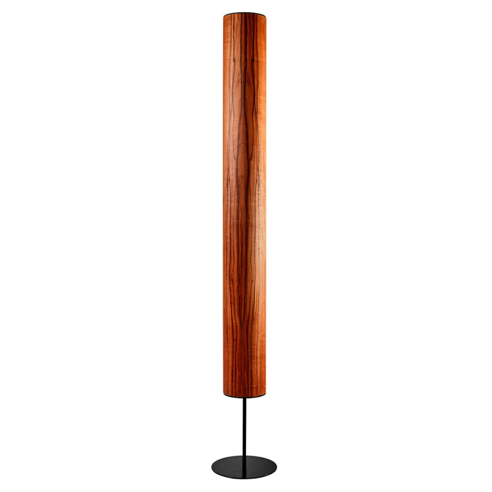 LeuchtNatur Arbor tineo nero