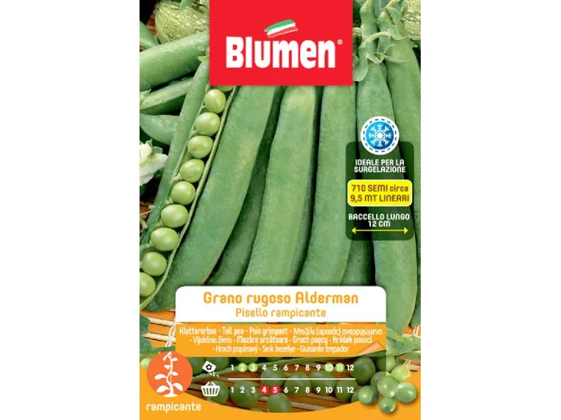 Semi Blumen Piselli rampicanti grano rugoso Alderman 250 g
