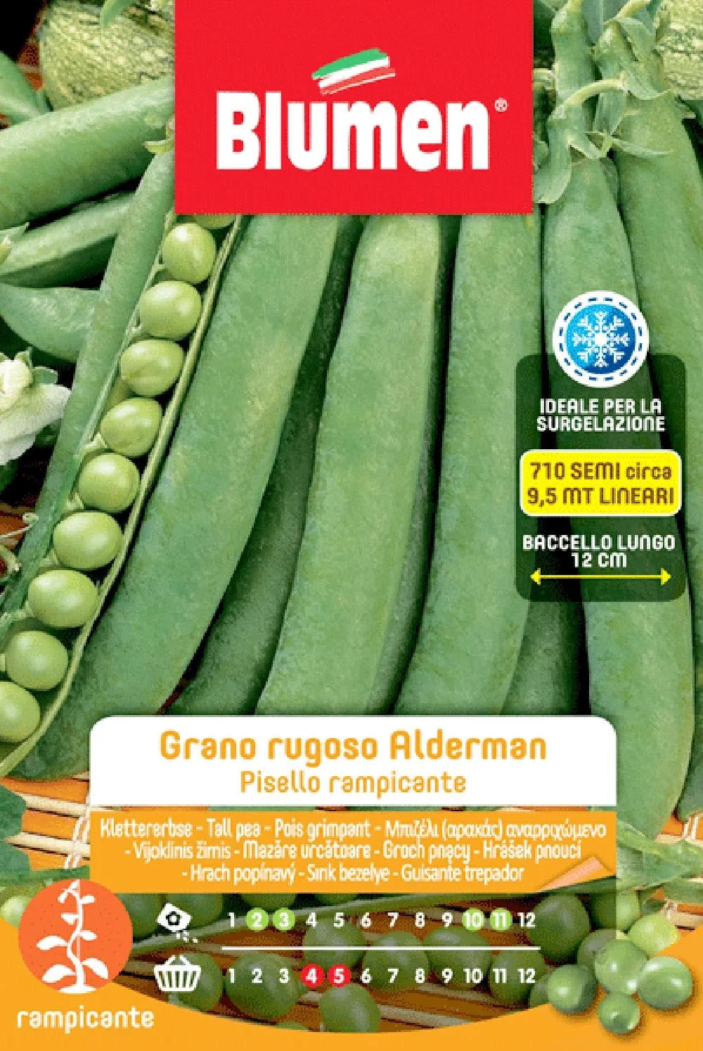 Semi Blumen Piselli rampicanti grano rugoso Alderman 250 g
