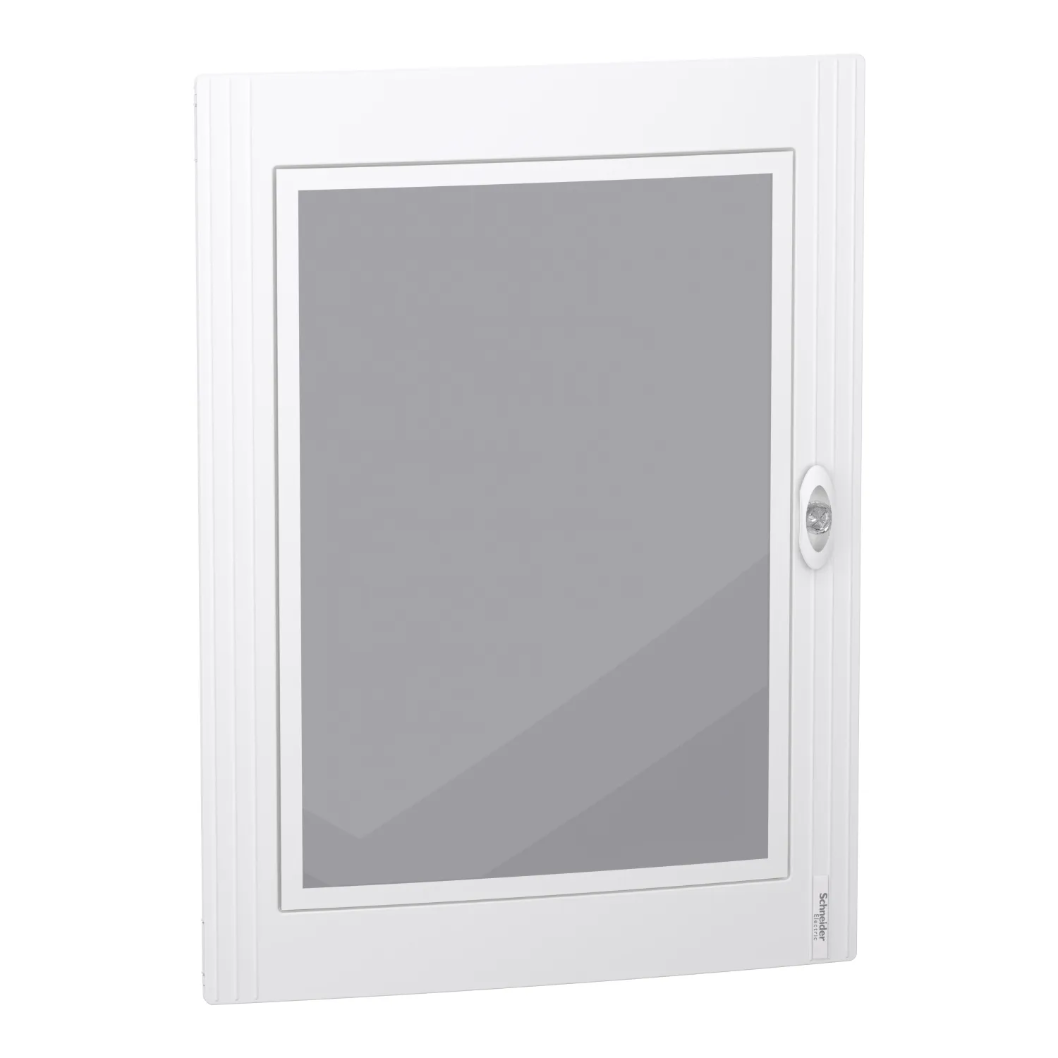 Sportello trasparente Schneider Electric PrismaSeT XS per Contenitore, 750 x 550 x 20mm