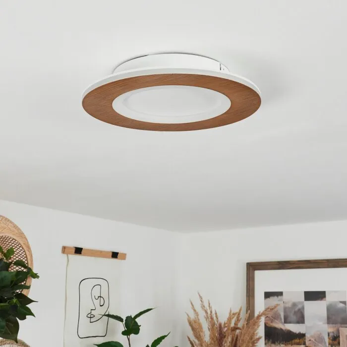 Varoyang Plafoniera LED Bianco, 1-Luce